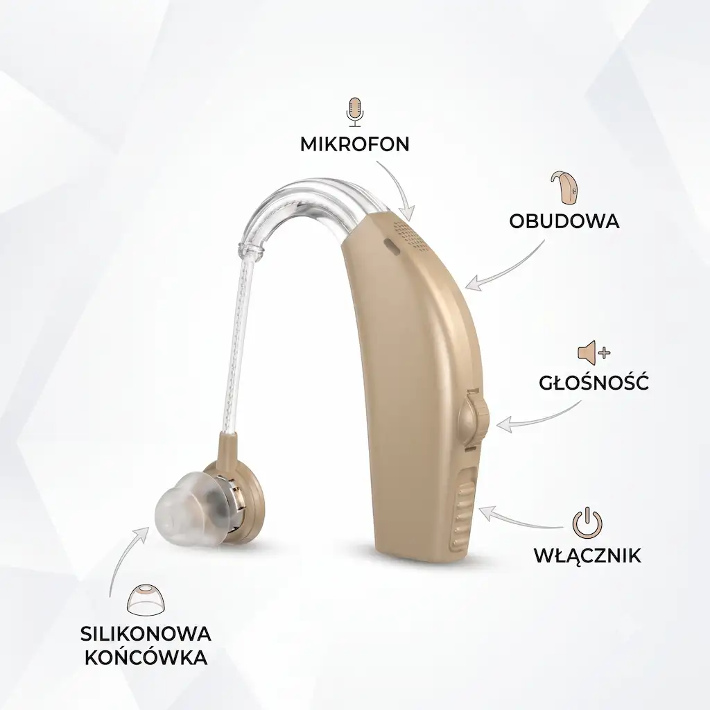Wzmacniacz słuchu — budowa